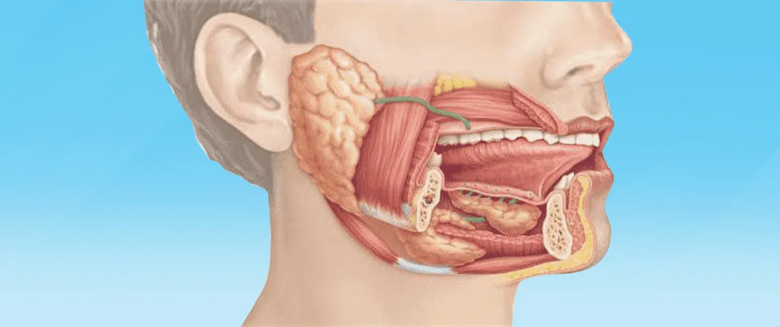 Kiefertumor
